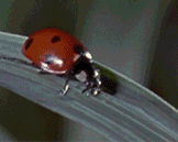majortvjunkie:  this is my best contribution to the internet 
