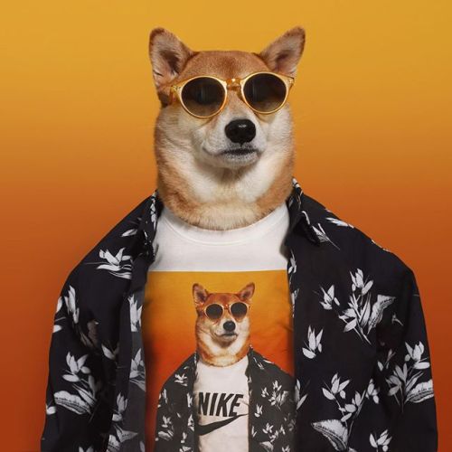 nike shiba inu shirt