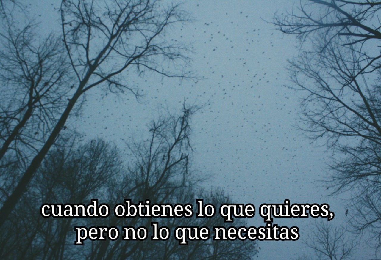 frases-de-canciones-esp:  Coldplay - Fix You 