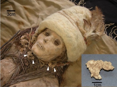 Mummy from the Taklamakan Desert in China, buried 3800 years ago. The mummy, preserved very well in 