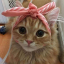 craftocat