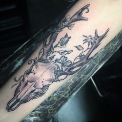 dregarciatat2:  Daily Grind: European mount style Deer head with flowers I made to start Saturday! #dregarcia #stateofarttattoo #tucson #az #tattoo #tattoos #tattooed #deertattoo #skulltattoo #blackworkerssubmission #blxckink #blxckwork