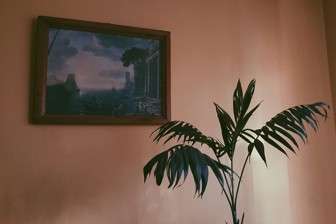 novr:  16.07.2015 // above and next to your piano
