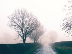 annettefirth:  Foggy Friday… 13/2/15 #nature