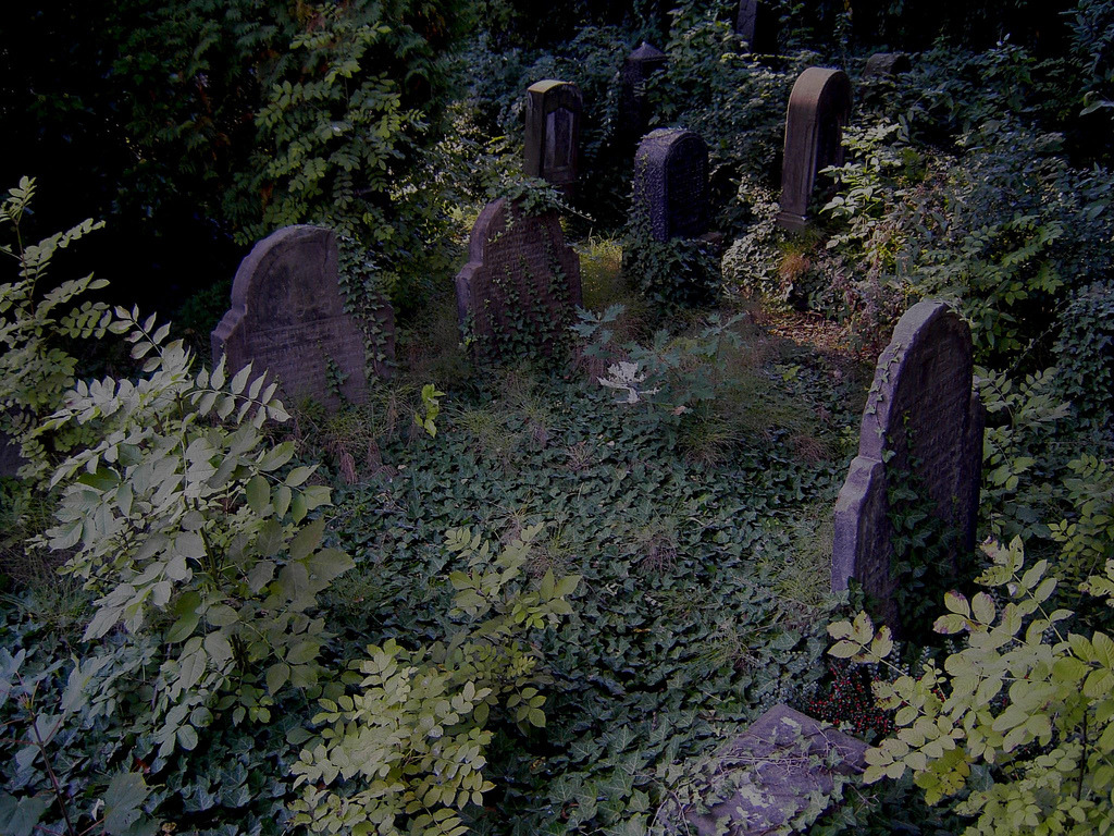 taphophilia:   	Old Jewish Cemetery by Erich Ferdinand    	 