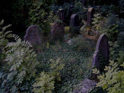 taphophilia:   	Old Jewish Cemetery by Erich