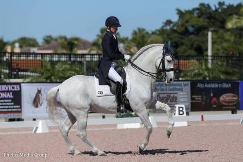 Esmaltado IVAndalusian, Gelding15.3hhBorn 1999