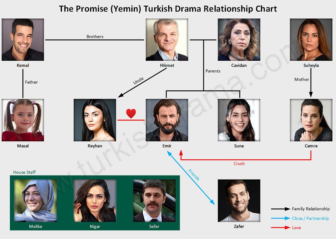 The promise turkish