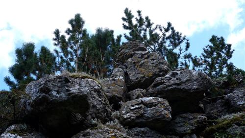 Way Out West.Top of the Aysgarth Edwardian Rock Garden, North Yorkshire, England.