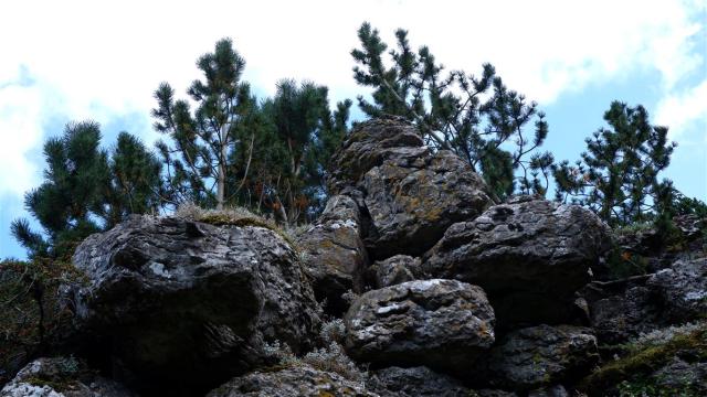 Way Out West. Top of the Aysgarth Edwardian Rock Garden, North Yorkshire, England.
