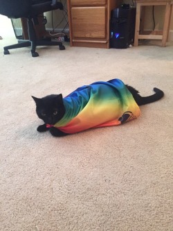 catsuggest:“gay rights!” -Fish (2018)