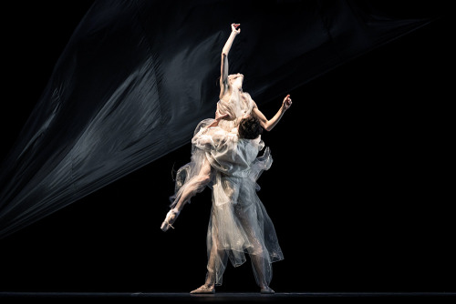 fonteyns: Tristan and Isolde at the Opera Florence photographed by James Bort