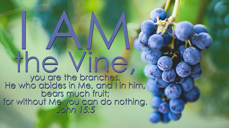 I Am The Vine John 15:1-8