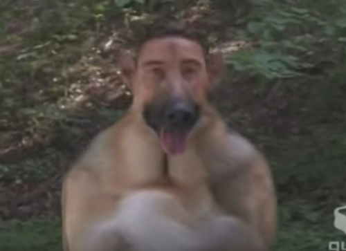 tiramisu-fox:decided to pause animorphs inbetween the “morph” framesr e g r e t 