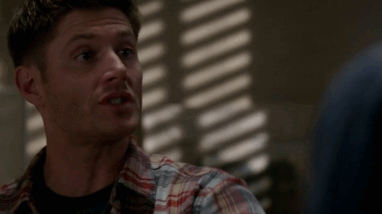 sammy-samulet:  guardian: /noun/   a defender, protector, or keeper.   