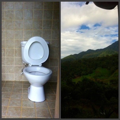 Panoramic toilet, double pleasure.