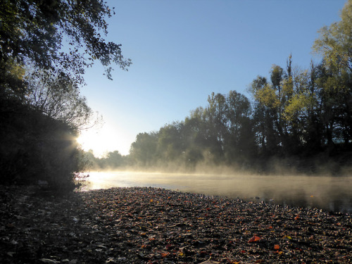 A glorious crispy morning along the river trail, all frost and mist, beautiful bright sun and a bite