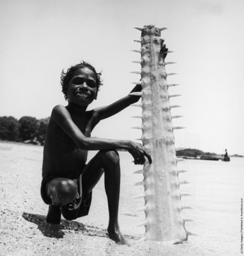indigenouswisdom:Yolngu boy with sawfish jawArnhem LandAustralia