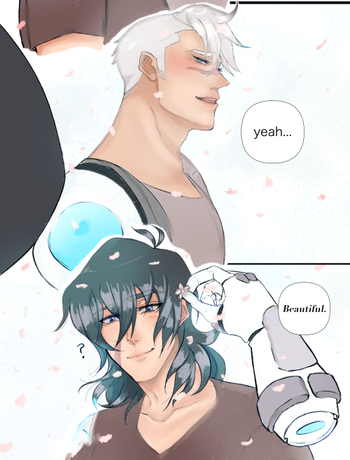 Shiro takes Keith to see the cherry blossoms 