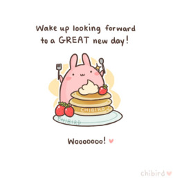 chibird:  Get excited for days with bunnies