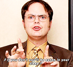 dundermifflinscranton:  Rule #17: Don’t turn your back on bears, men you have wronged or the dominant turkey during mating season. 