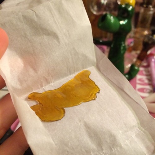 weedporndaily:  Double Dream shatter ✨🔥💛 by @miss_dabosaurus