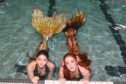  www.mermaidraina.comwww.halifaxmermaids.comwww.makemeamermaid.com 