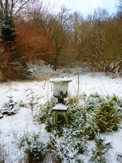 nordicsublime:Snow in the garden