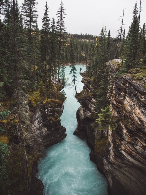 cameronlanderson:  Athabasca Falls, Alberta.