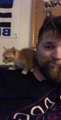 Watched the game at my friends house and their kitten decided to come say hello a few times