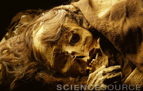 sciencesourceimages - Inca Mummies Of Peruby Mark CartwrightThe...