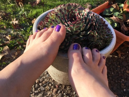 misstinytoes23:  Purple toes 💜 I put too many layers though and ended up scraping my big toe on a chair while taking these photos 😫 maybe I can fix it…