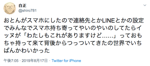 bibidebabideboo:  (白正さんはTwitterを使っています: