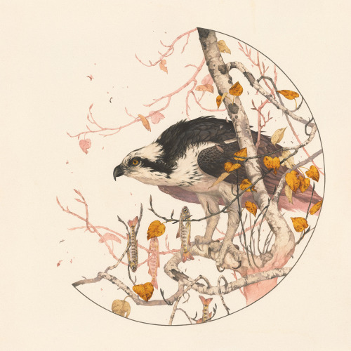 itscolossal: Flora and Fauna Intertwine in Delicate Mixed-Media Artworks by Teagan White