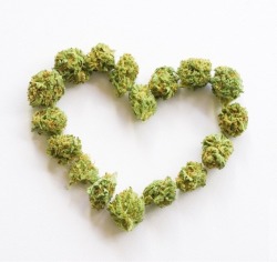 CannaLove