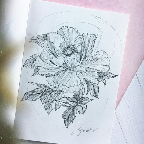 flowers sketches