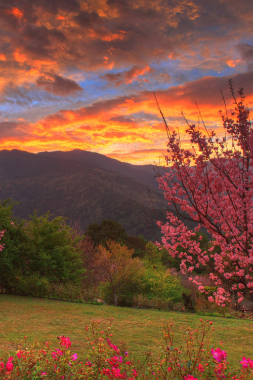 sundxwn:  Color Showering by ydchiu