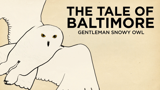 skunkbear:  Thanks to cutting edge tracking technology, Baltimore is probably the