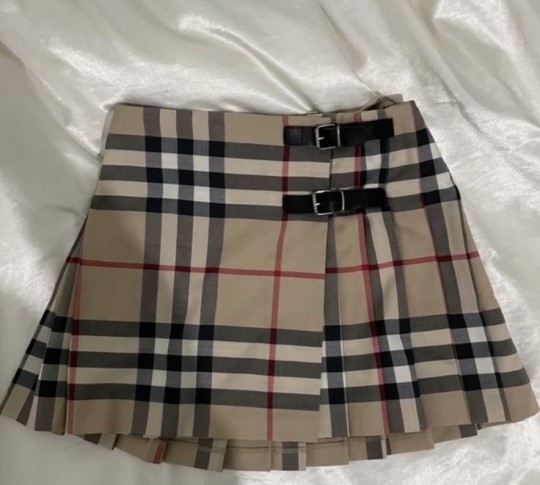 Tumblr Short Skirt