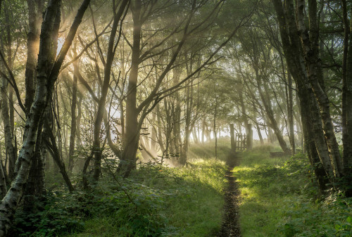 Leading light, West Yorkshire by Simon Higginbottom