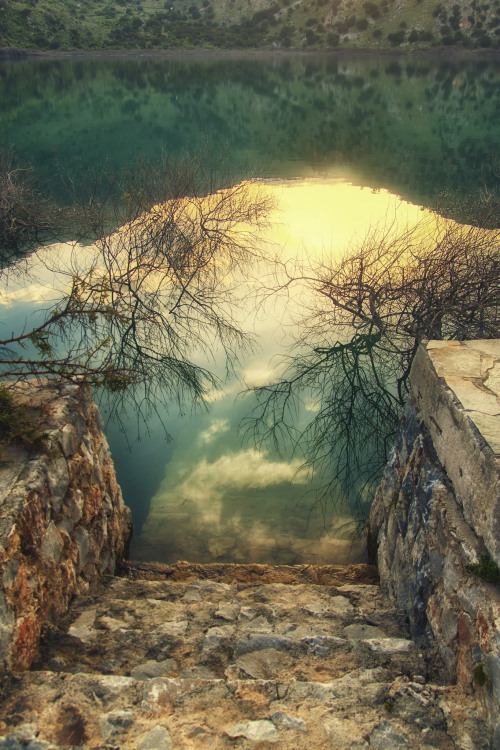 opticxllyaroused:  Untitled by Theophilos Papadopoulos