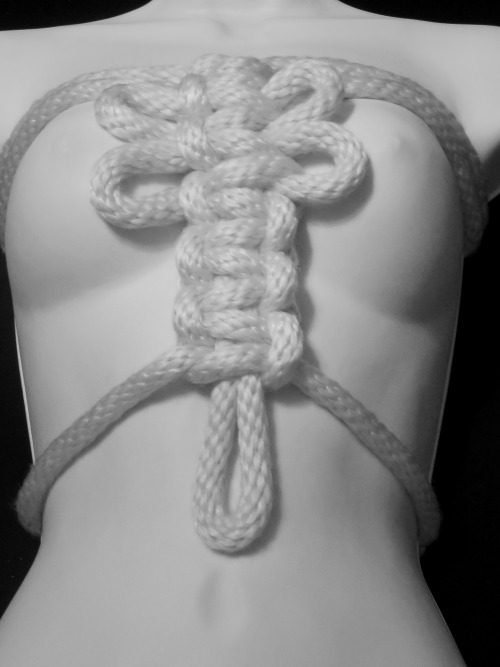 asubmissiveintraining:  ropebondagebyahab:  Dragonfly Harness Dragonfly Harness. Original design by me. Multiple loops on the chest for tie-offs or suspension work. Braided panel on the back for comfort and support during extended face-up suspension.