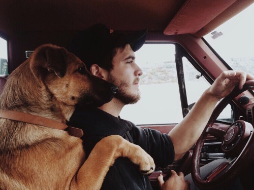 snuffair: lasplayaslasmontanas: Bison, a good friend, an old truck and a long trip ahead …my pup is 