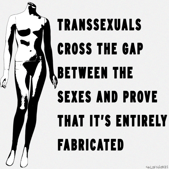 maryfagdalene:THE TRANSSEXUAL