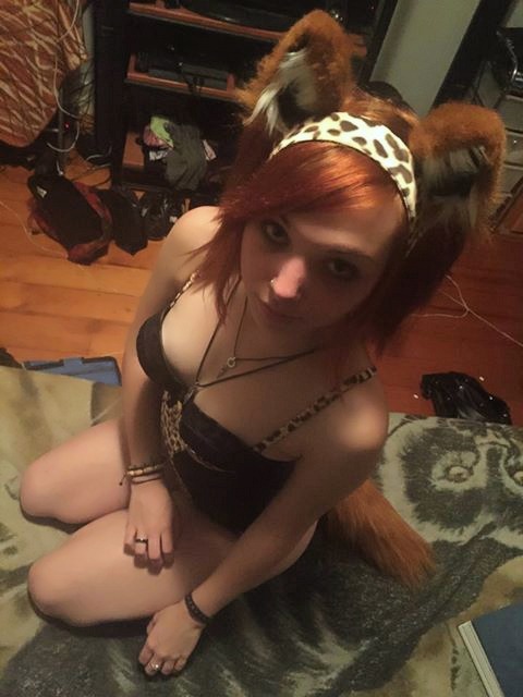aier-elear:  Jungle fox! ^_^