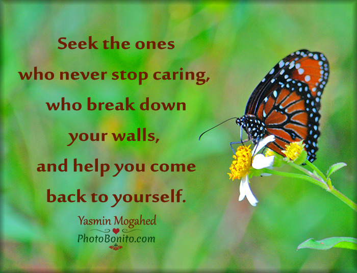 soul-to-souls:    For More Quotes and Poetry, click here. www.photobonito.com  