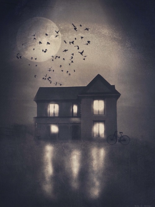 bestof-society6: ART PRINTS BY ERIKA C. BROTHERS House  Sky ride  Thought to the Moon Path to 