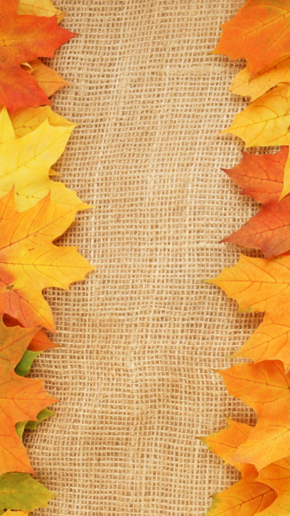 coolautumnbreath:  HEY EVERYONE! i was in a car accident recently (side swipe, no injuries, it&rsquo