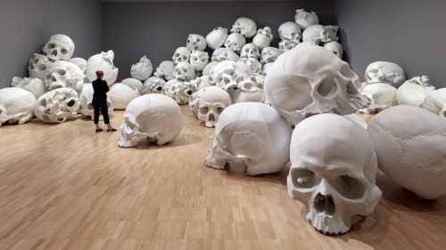 itscolossal: 100 Fiberglass and Resin Skulls Fill a Room at the National Gallery of Victoria in Melb