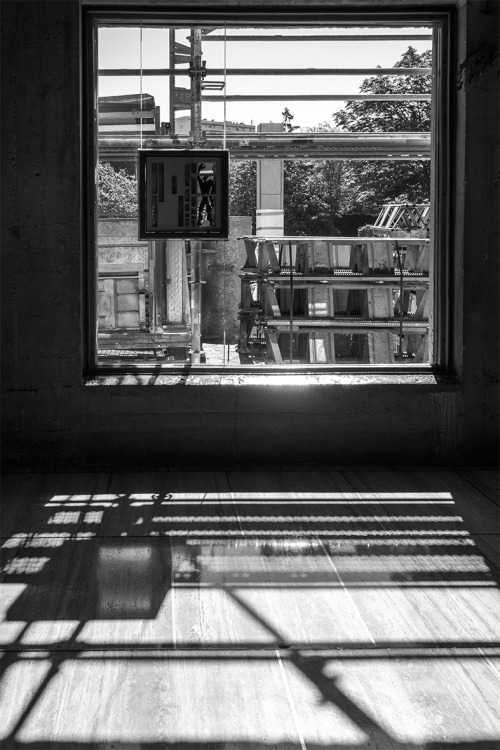 anata39:Corbu